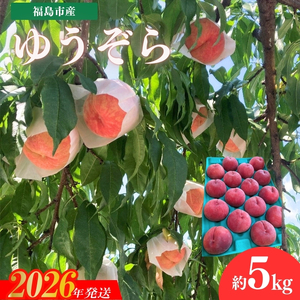 No.3267 安斎果樹園 福島のもも 「ゆうぞら」 約5kg(16玉〜18玉)[2026年発送]
