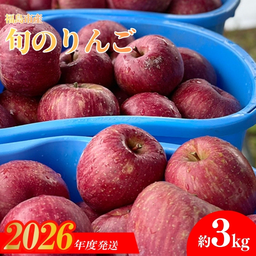 No.0145 あづま果樹園 りんご 約3kg [2026年度発送]