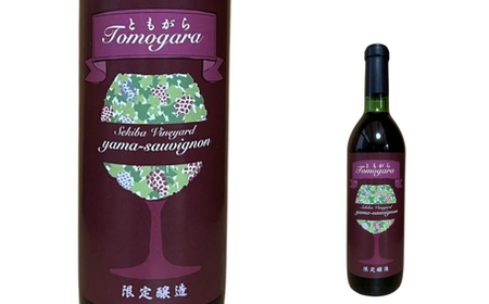 No.3310 ヤマソーヴィニヨン赤ワイン ともがら 2021 720ml