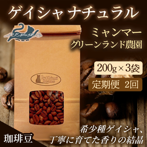 No.3274[2回定期便]珈琲豆 ゲイシャナチュラル ミャンマｰ[豆]希少種 焙煎 200g×3袋