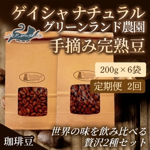 No.3290[2回定期便]世界の味飲み比べ(ゲイシャナチュラル 手摘み完熟豆)贅沢2種[豆]200g×6袋