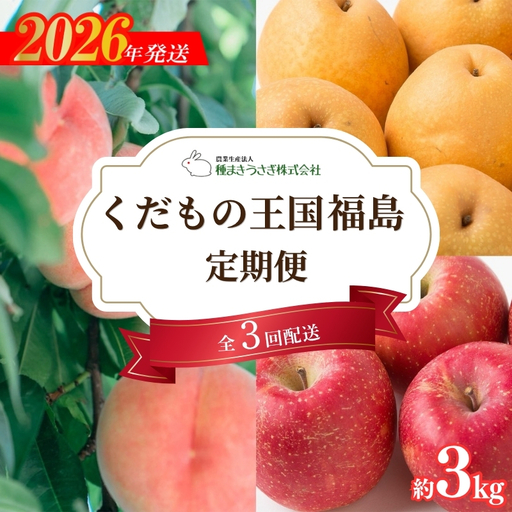 No.3319 くだもの王国 福島 もも 梨 りんご 定期便 全3回お届け 各回約3kg【2026年発送】