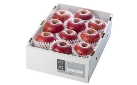 No.0673[限定100箱] りんご「サンふじ」 約3kg[2025年度発送]
