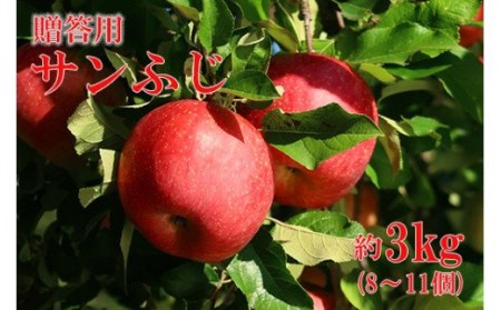 No.0787 񂲁uTӂv3kgϔy2025Nxz
