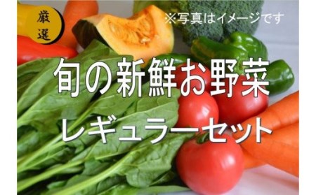 大人気！旬の新鮮お野菜　レギュラーセット（詰め合わせ）