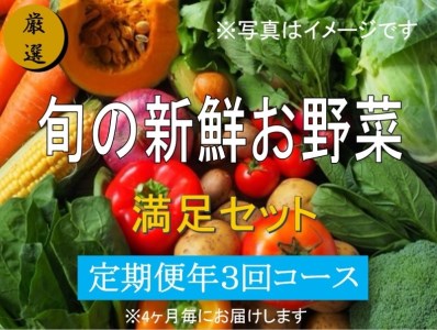 大人気！旬の新鮮お野菜　満足セット（詰め合わせ）【定期便３回】