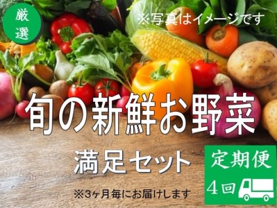 大人気！旬の新鮮お野菜　満足セット（詰め合わせ）【定期便４回】