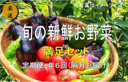 大人気！旬の新鮮お野菜　満足セット（詰め合わせ）【定期便６回】