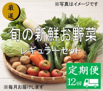 大人気！旬の新鮮お野菜　レギュラーセット（詰め合わせ）【定期便１２回】