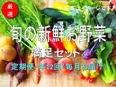 大人気！旬の新鮮お野菜　満足セット（詰め合わせ）【定期便１２回】