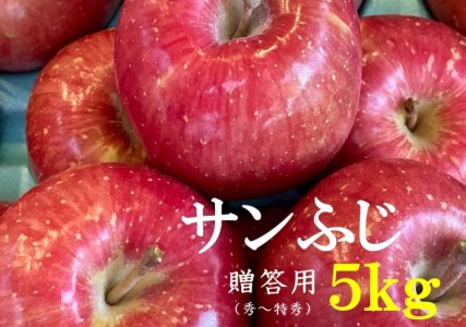No.1010　【2021年度産先行受付】りんご　サンふじ　５ｋｇ 大玉 【贈答用】　林檎　リンゴ（秀～特秀）