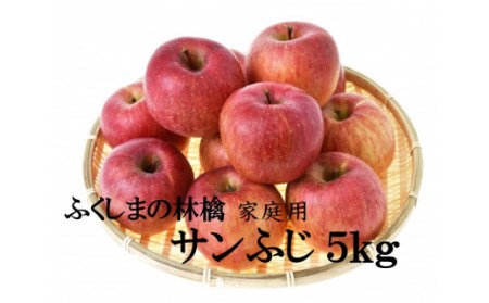 No.2065 りんご「サンふじ」家庭用 約5kg【2024年度発送】