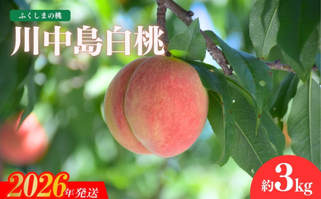 No.1202̓@u쒆v3kgy2026Nz