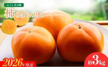 No.1205福島の柿「渋抜き柿」(刀根早生又は平たねなし)約3kg[2026年発送]