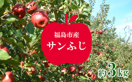 No.1224 񂲁uTӂv3kgy2025Nz