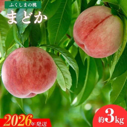 No.1509福島のもも「まどか」約3kg【2026年発送 先行予約】