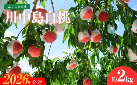 No.1511̂u쒆v2kgy2026N s\z