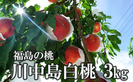 No.1512福島のもも「川中島白桃」約3kg【2025年発送】