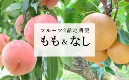 No.1635フルーツ2品定期便 もも・なし各約5kg【2025年発送】