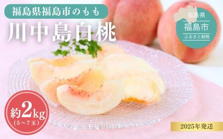 No.1689もも 川中島白桃 約2kg【2025年発送】