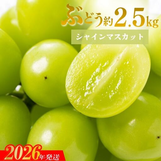 No.1711シャインマスカット 約2.5kg (3～4房)【2026年発送】