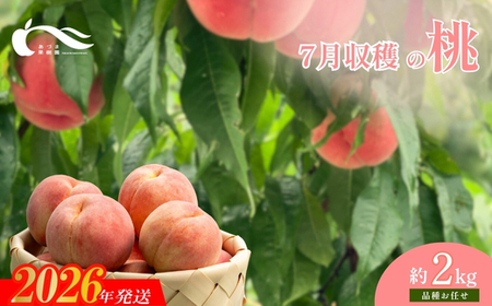 No.1757もも　7月収穫の桃　品種お任せ　約2kg【2026年発送】