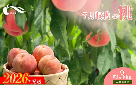 No.1759もも　7月収穫の桃　品種お任せ　約3kg【2026年発送】