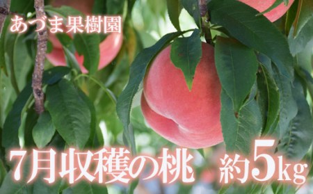 No.1761あづま果樹園　もも　7月収穫の桃　品種お任せ　約5kg【2023年発送】