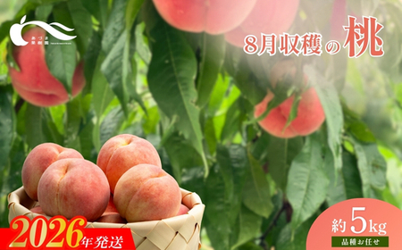 No.1762�����@8�����n�̓��@�i�킨�C���@��5kg�y2026�N�����z