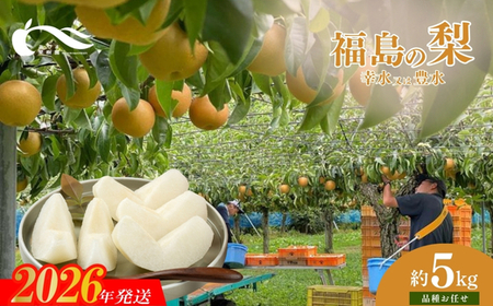 No.1767���@�i�킨�܂����@(�K�����͖L��)��5kg�y2026�N�����z