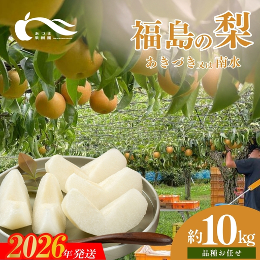 No.1770梨　品種おまかせ　(あきづき又は南水)約10kg【2026年発送】