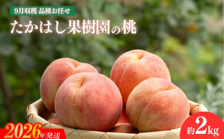 No.1817�����͂��ʎ����̓� 9�����n��2kg�y2026�N���� ��s�\��z