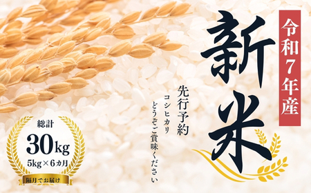 No.1503【令和７年産】大文字屋米穀店【定期便6回】コシヒカリ 5kg 精米（隔月でお届け）
