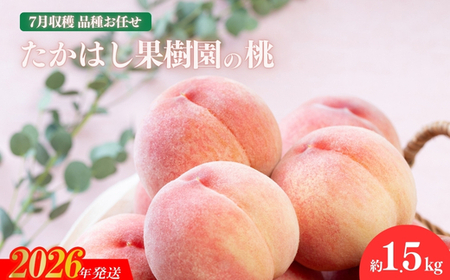 No.1904�����͂��ʎ����̓��@7�����n��1.5kg�y2026�N���� ��s�\��z