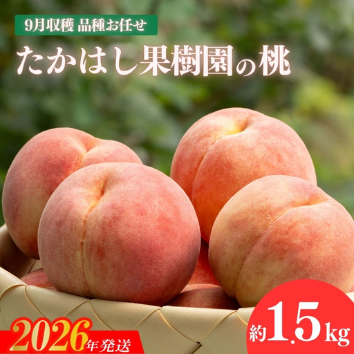 No.1906たかはし果樹園の桃 9月収穫約1.5kg【2026年発送 先行予約】