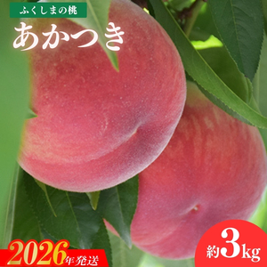 No.1881すずき果樹園　もも　あかつき 約3kg【2026年発送】