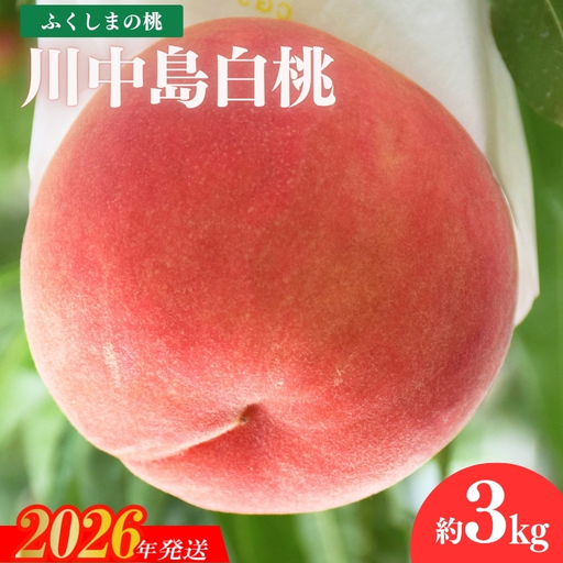 No.1979 もも「川中島白桃」約3kg【2026年発送】