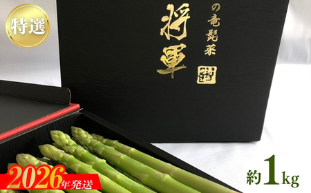 No.2152�y���I�z�����Y�̗��E�؁i�A�X�p���K�X�j���R ��1kg