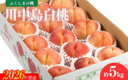 No.2154�����̂����@�쒆�������@��5kg�y2026�N���� ��s�\��z