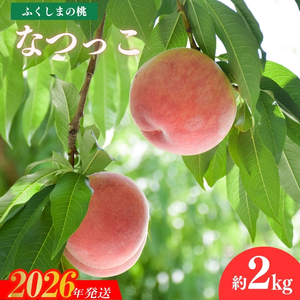 No.2213 もも「なつっこ」約2kg【2026年発送】