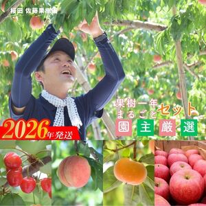 No.2223桜田/佐藤果樹園 果樹まるごと一年おまかせセット[2026年発送]