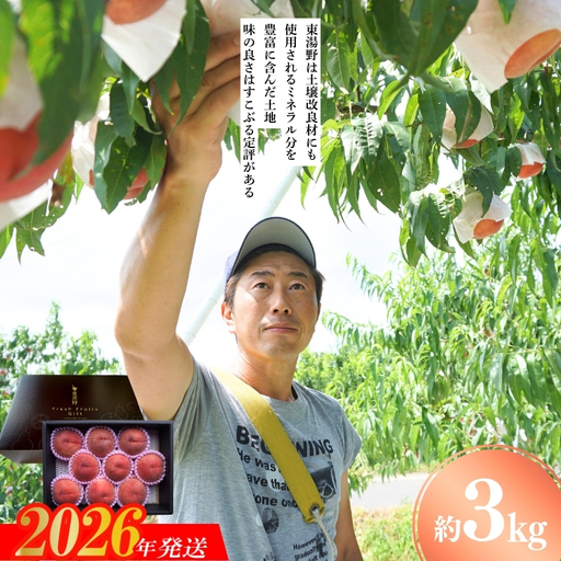 No.2294特選福島・東湯野のもも約3kg【2026年発送 先行予約】