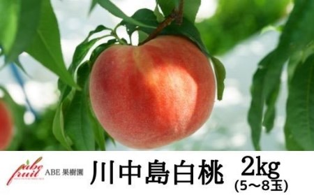 No.2300もも　川中島白桃約2kg【2025年発送】