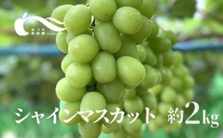 No.2334ԂǂiVC}XJbgji2kgjy2025Nz