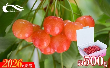 No.2335�������ځi�����і��͍g�G��500g�j�y2026�N�����z