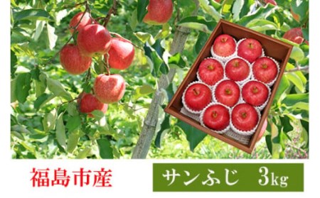 No.2357 共同有限会社 りんご「サンふじ」約3kg[2025年度発送]