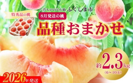 No.2426�@8�������̓��@���G�i��2.3kg�y2026�N�����z