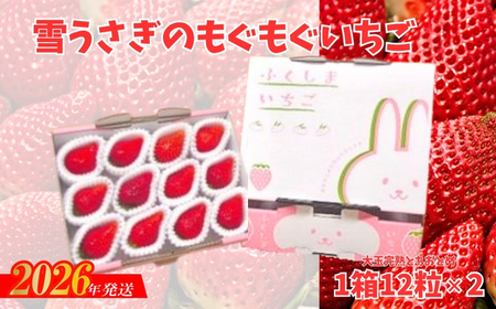 No.2478福島市産いちご【大粒完熟とちおとめ 】雪うさぎのもぐもぐいちご 1箱12個入り×2箱（約800g）【2026年１月下旬より発送】