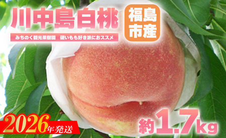 No.2347もも「川中島白桃」贈答用 約1.7kg[2026年発送 先行予約]