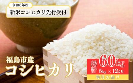 No.2498[令和6年産 新米先行受付]有限会社大文字屋米穀店[定期便12回]コシヒカリ 5kg 精米(毎月お届け)